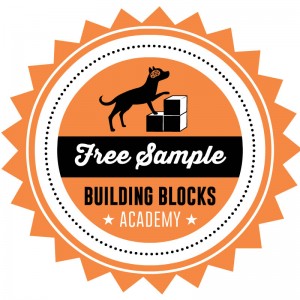 Animal Building Blocks Academy for Pets