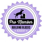 Building Blocks Academy Pro Member Badge