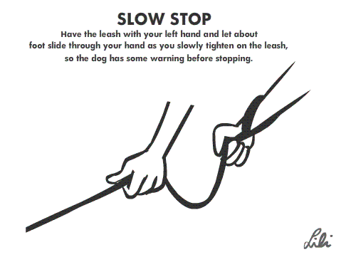 animated-slowstop