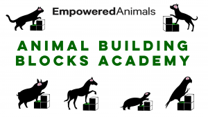 Animal Building Blocks Academy