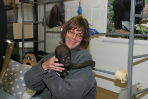 Susan Friedman, Ph.D.