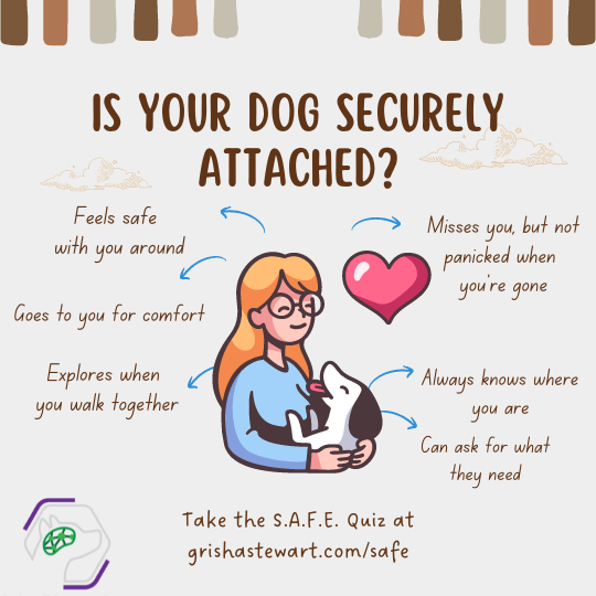https://grishastewart.com/wp-content/uploads/2022/04/Is-your-dog-securely-attached-small-final.png