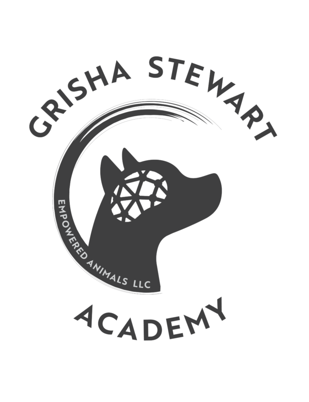 Grisha Stewart Academy