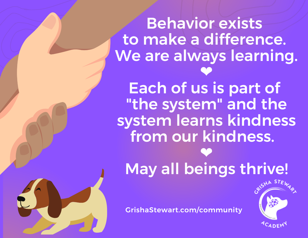 Behavior exists to make a difference. We are always learning. Each of us is part of 'the system' and the system learns kindness from our kindness. May all beings thrive.